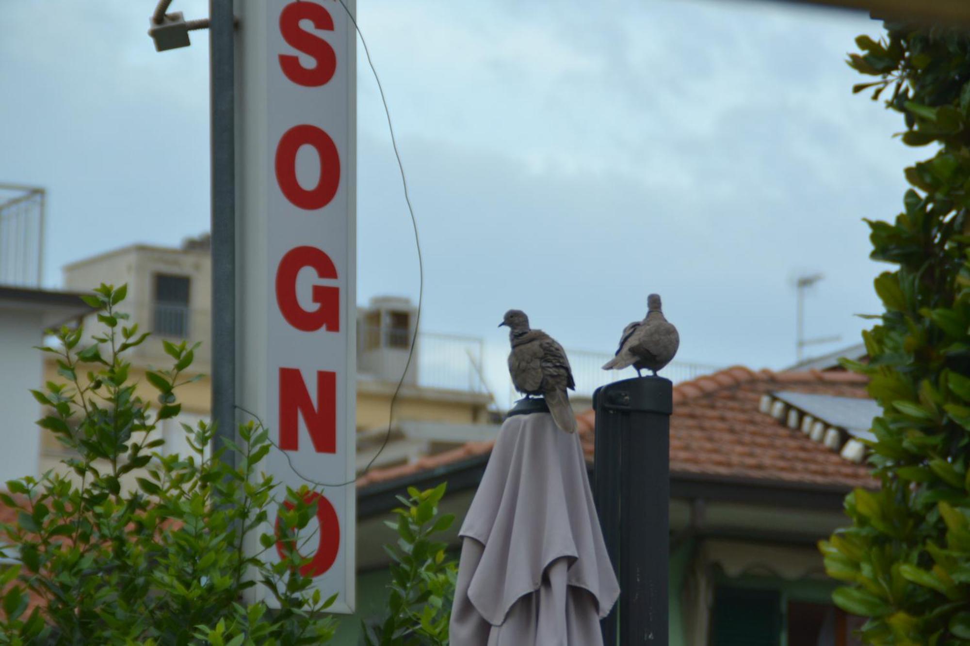 רימיני Hotel Bel Sogno מראה חיצוני תמונה